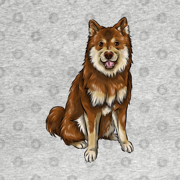 Finnish Lapphund Dog | Chocolate and Tan by Shirin Illustration